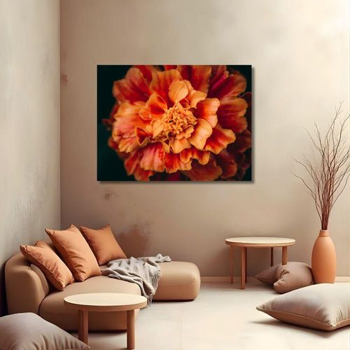 Cuadro Decorativo Planta 60x80cm Clavel de Indias