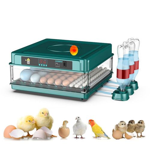 NOVAKA Incubadora Huevos Gallina, Incubadora Automática De Aves De Corral, con Volteador Automático y Control de Temperatura, pa