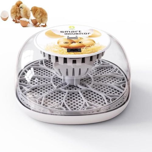 KEPTFIT Mini incubadora de Huevos, automática para incubar Aves de Corral de 10 Huevos, Control de Temperatura Manual para volte