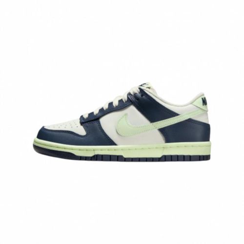 NIKE DUNK LOW FB9109-127