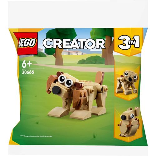 LEGO Creator 30666 - Animales de regalo, perro, oso y ardilla (3 en 1), set de 75 piezas en bolsa de polietileno