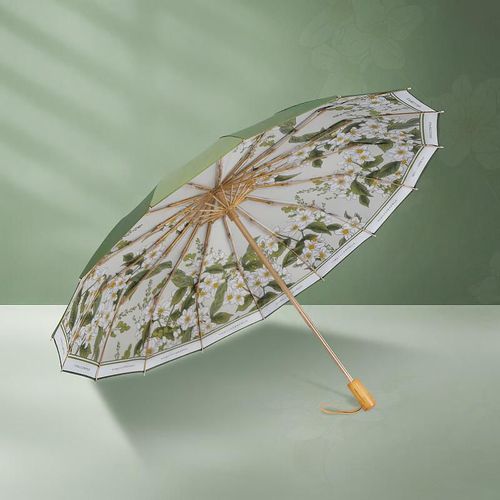 Paraguas VONLILIENFELD Felix Plegable