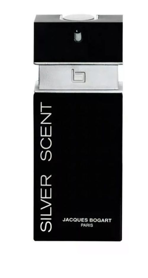SILVER SCENT 100 ml EDT M