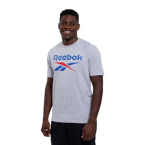 PLAYERA REEBOK HOMBRE BRUNO BIG LOGO CREW NECK SS TEE GRIS 100240886