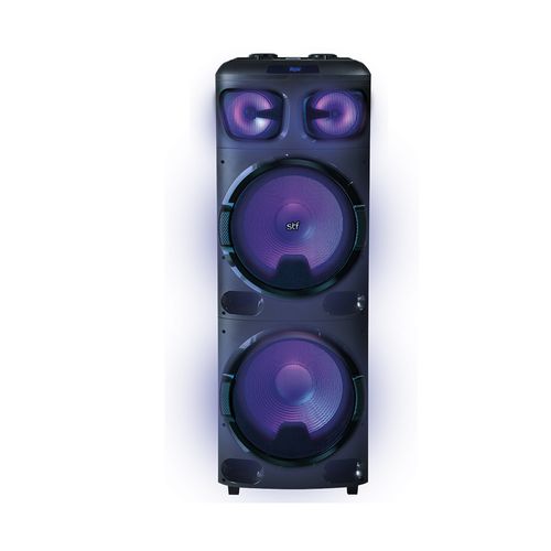 Sistema de Audio Inalámbrico STF Sound Onebody 15" x 2