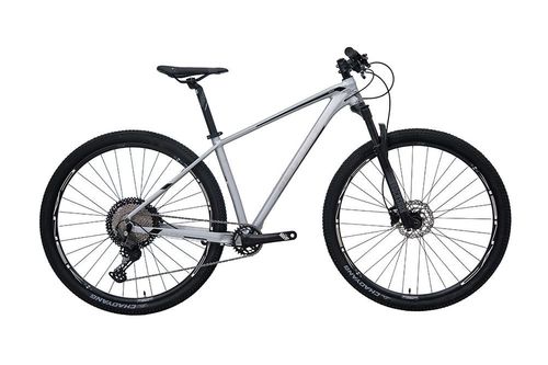 Bicicleta Belfort Alom Comp B2 R29 T17 Plata Negro
