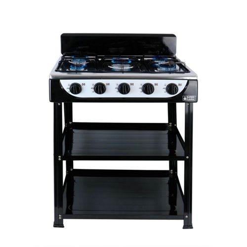 Parrilla a gas 5 quemadores ELSA 5 anaquel
armable