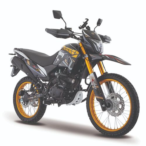 Motocicleta Italika DM300 Dorado con GPS