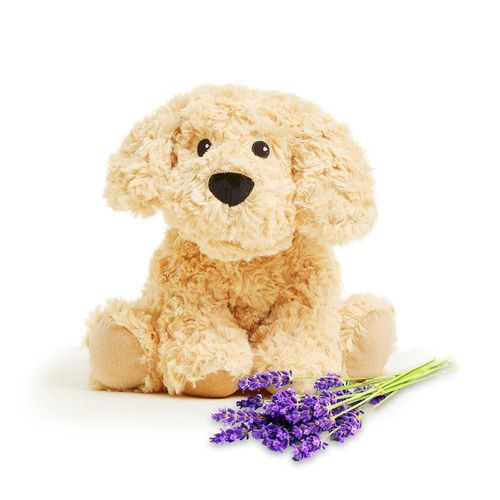 Push Animal Warmies Golden Dog apta para microondas con aroma a lavanda