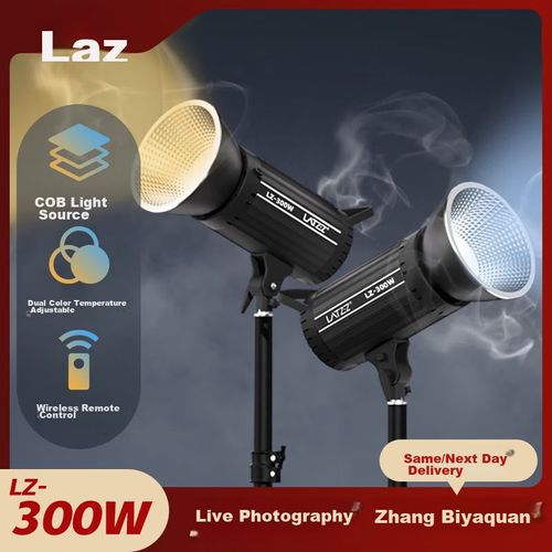 Luz De Relleno Profesional Laiz Lz-300W 300W