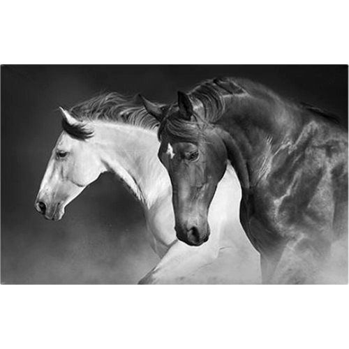 Cuadro Decorativo Caballos Multicolor Kessa Muebles