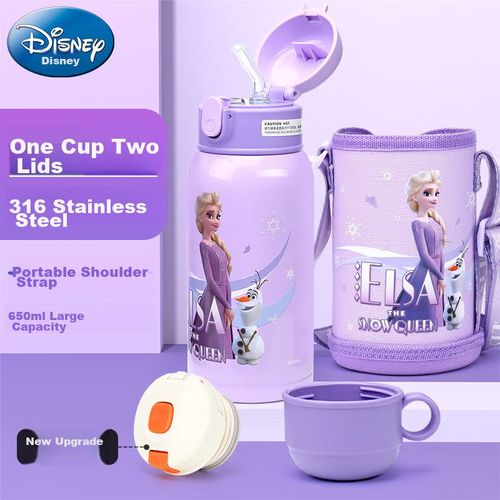 Botella Térmica Disney La Reina De Las Nieves 650 Ml Morado