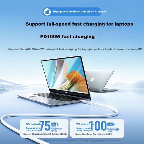 Cable Snowkids Tipo C Doble Conector 6A 100W 1.5m Negro