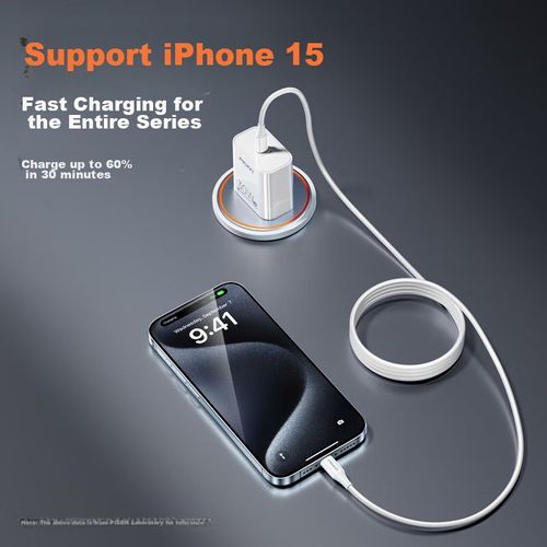 Cable Pisen Dual Tipo C a Tipo C PD 100W Negro Paquete 2