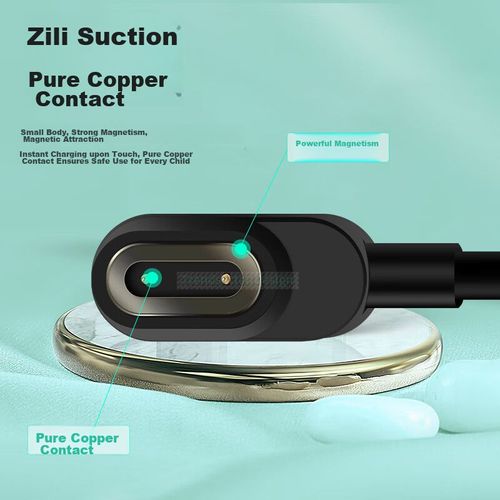 Cable Chao Fan 04:27 Magnético para reloj inteligente Negro