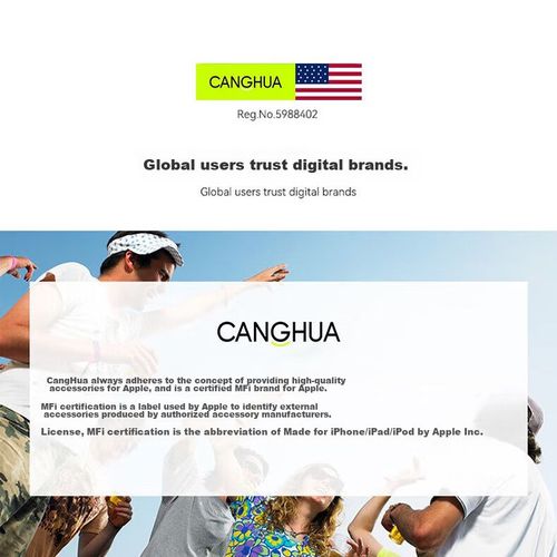 Adaptador CangHua A60 Tipo C a Lightning Plateado