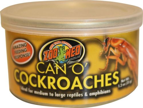 Cucarachas Zoo Med Can O' 34 g para reptiles medianos y grandes