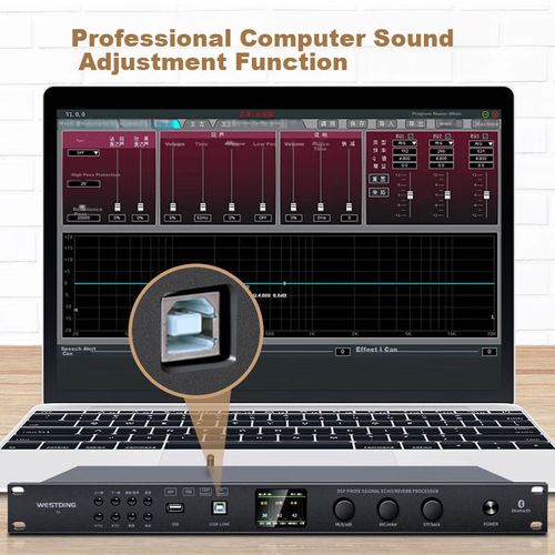 Paquete Karaoke WESTDING USS-UNK Bluetooth Micrófono DSP