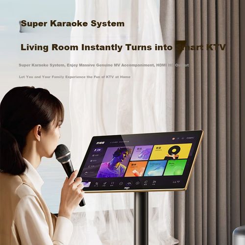 Karaoke Aiguozhe G33 Pantalla 21.5" 500GB