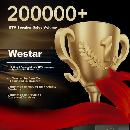 Bocina WESTDING M5 Bluetooth Resistente al Agua IPX4 Negra