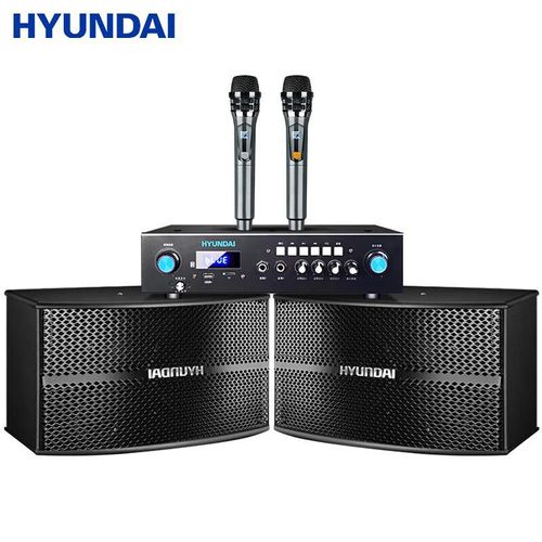 Bocina Hyundai K620 Sistema Karaoke Profesional 150W