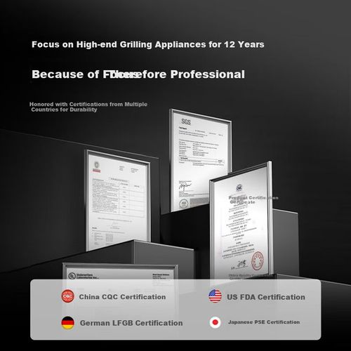 Parrilla Eléctrica Fastee FST-53DC 455x280mm Acero Antiadherente Roja