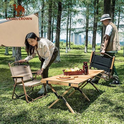 Silla plegable portátil aluminio y tela Oxford CAMEL