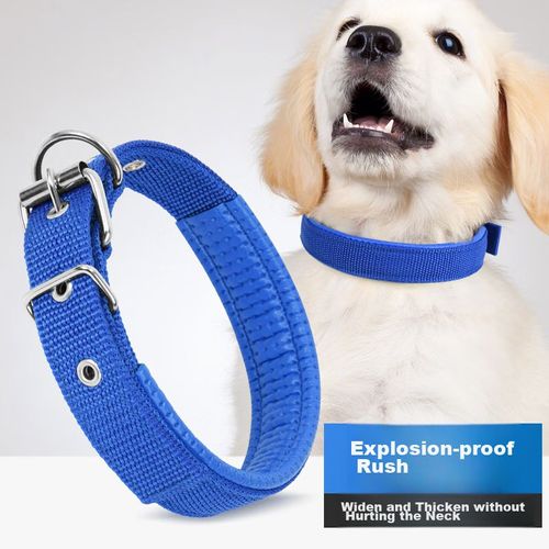 Collar para Perros S, azul
