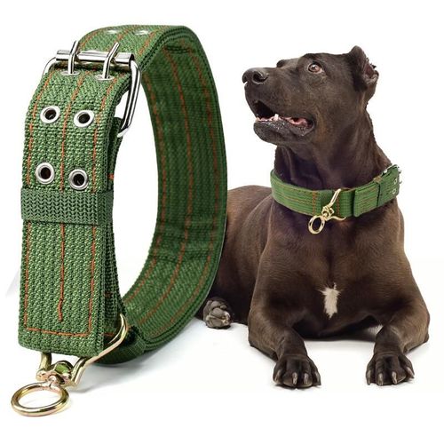 Collar para perro de lona Talla G, verde