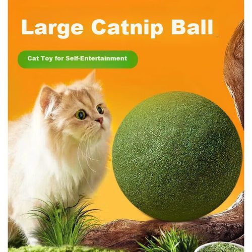 Juguete de Hierba Gatera Interactivo