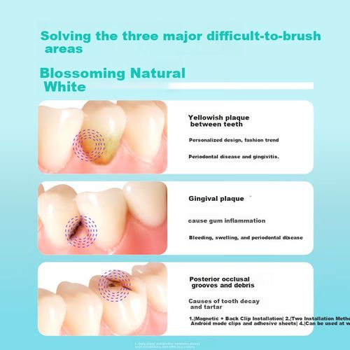 Cepillo de dientes EBISU cerdas medianas cabeza redonda paquete 2 piezas