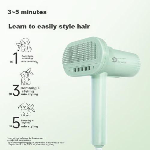 Secador y soplador L&W BROS PD-9990 300W para perros pequeños