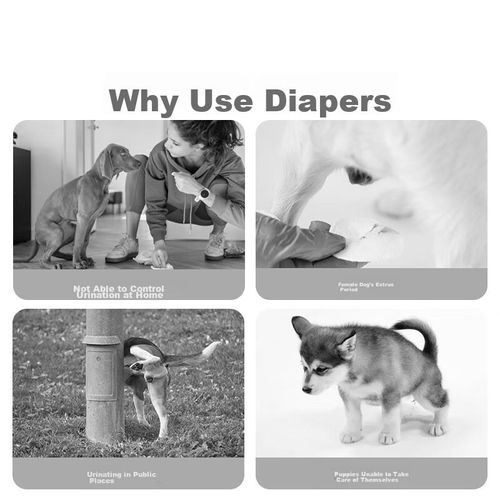 Pañales para perros Hipidog absorción instantánea talla XL 40x45 cm 12 piezas