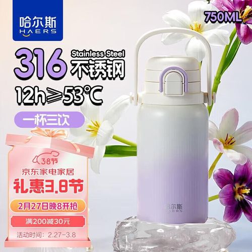 TERMO HAERS 750 ML ACERO INOXIDABLE 316 MORADO