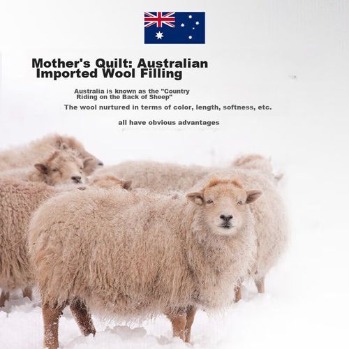 JUEGO DE EDREDÓN LUOLAI SEDA Y LANA 2 EN 1