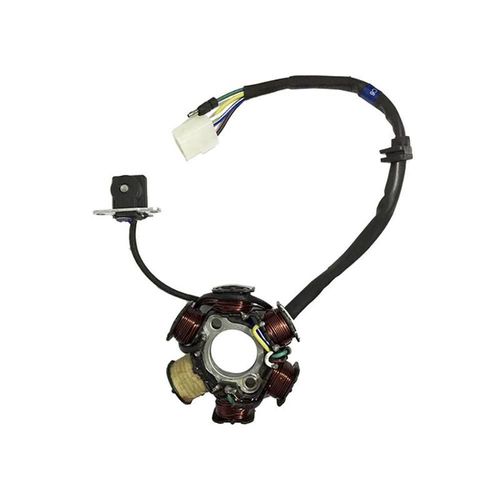 Inducido 6 bobinas italika at 110 (20-21)/at 110 rt (12-14) 3-24a