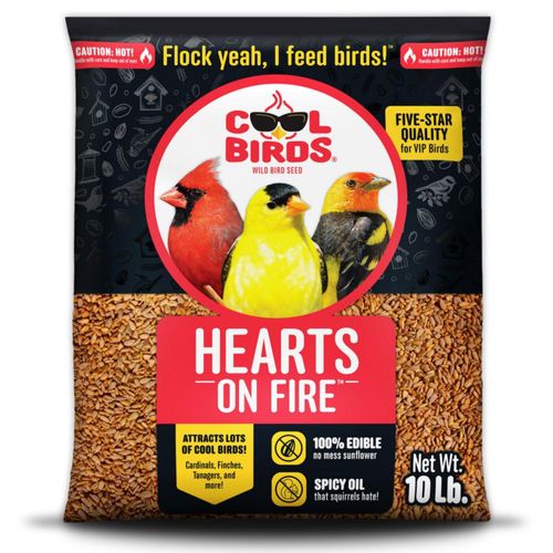 Bird Seed Cool Birds Hearts on Fire Hot girasol descascarado de 454 kg
