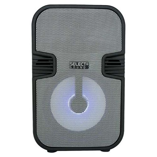 Bocina Bafle Inalámbrica Bluetooth Recargable TWS Radio Fm BT1406P