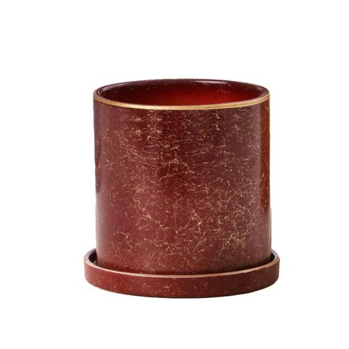 Ilios Innova Macetero borde dorado 15 cm alto, maceta de cerámica con plato de base, Elegante maceta para flores.