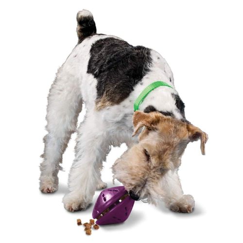 Dispensador de juguetes para perros PetSafe Busy Buddy Twist 'n Treat color morado