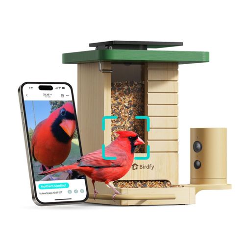 Comedero inteligente para aves Birdfy con cámara solar con IA y más de 6000 especies