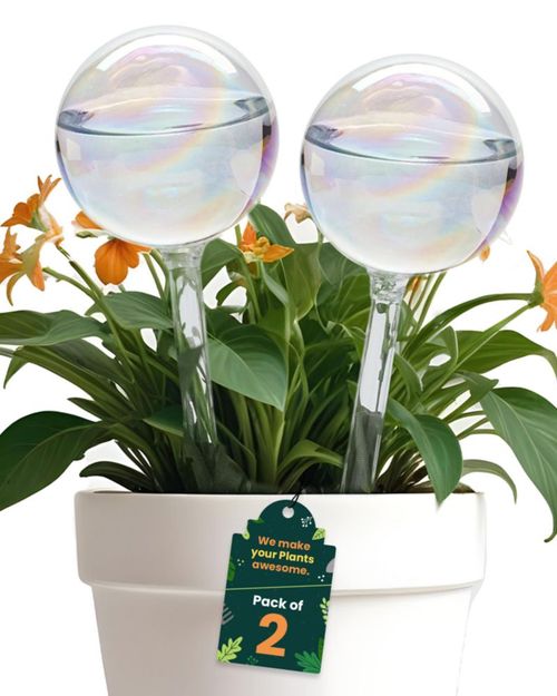 Globos de riego para plantas PlanKKers medianos 2 piezas iridiscentes