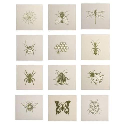 Cuadro Decorativo Sets Insectos