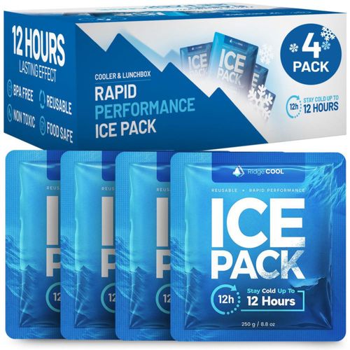 Bolsas de hielo RIDGECOOL paquete de 4 reutilizables 18 x 17 cm libres de BPA