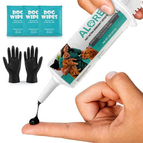Pasta de carbón activado Alorex 60 ml para perros y gatos