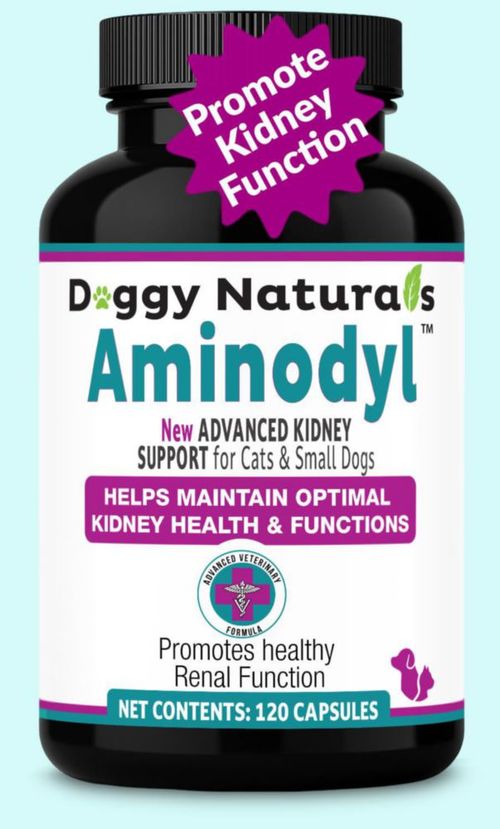 Suplemento de apoyo renal AMINODYL 400 mg 120 cápsulas