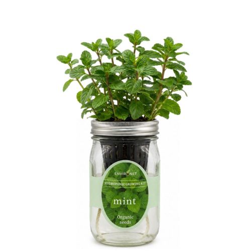 Kit de cultivo hidropónico de hierbas Environet con menta y semillas orgánicas