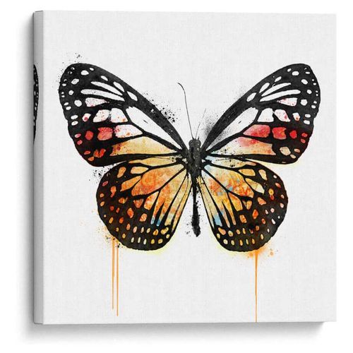 Cuadro decorativo de lienzo - Mariposa Naranja - 100 x 100