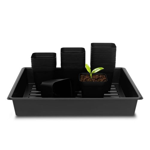Macetas de guardería RooTrimmer 10 cm cuadradas 60 unidades con bandejas 5 unidades