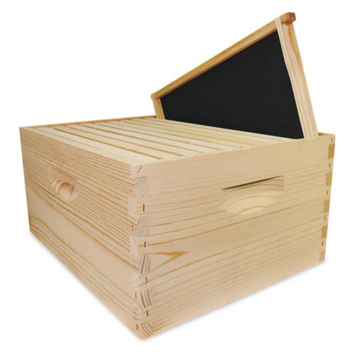 Kit de Colmena Mann Lake Cuerpo Profundo de 24.5 cm con 10 Marcos y Cera
